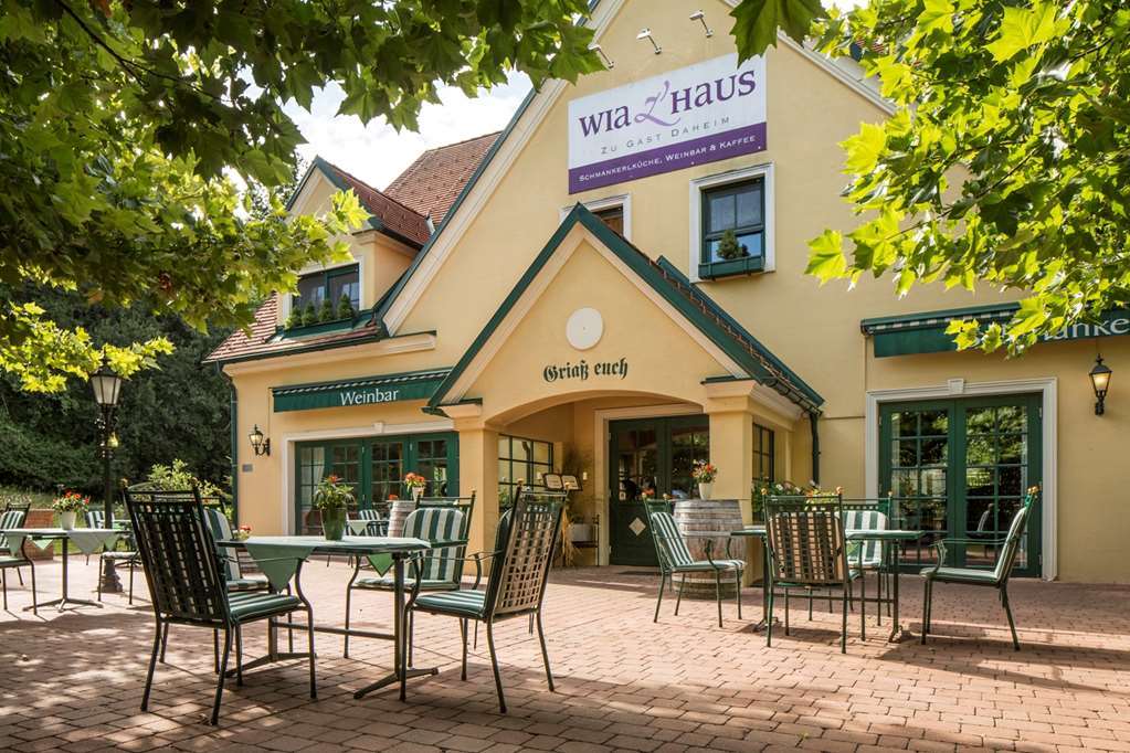 Hotel Falkensteiner Balance - Adults Only Stegersbach